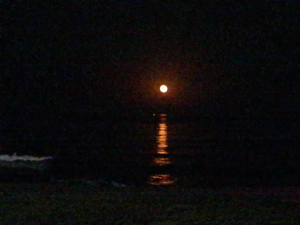Torremolinos Playa Carihuela 아파트 0*,  스페인